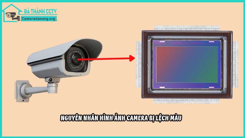 hinh-anh-camera-bi-lech-mau-cach-dieu-chinh1