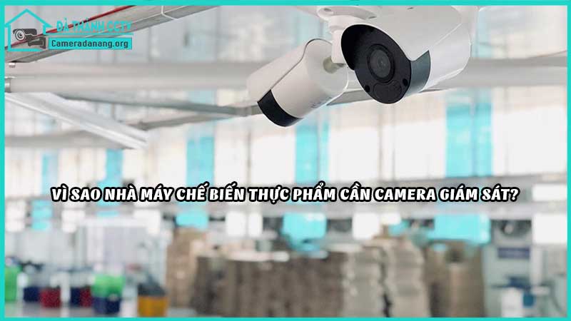 top-10-camera-dung-cho-nha-may-che-bien-thuc-pham1