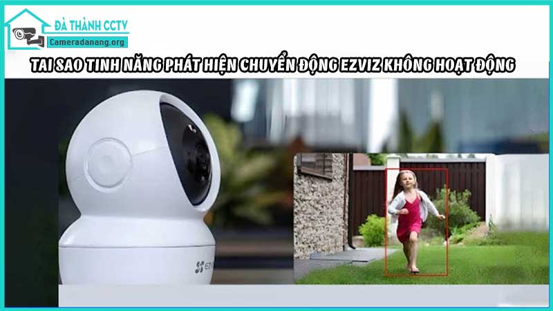 tai-sao-tinh-nang-phat-hien-chuyen-dong-ezviz-khong-hoat-dong