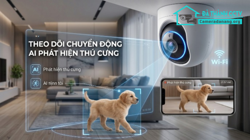 Camera wifi hay camera có dây đang được ưa chuộng hơn-1
