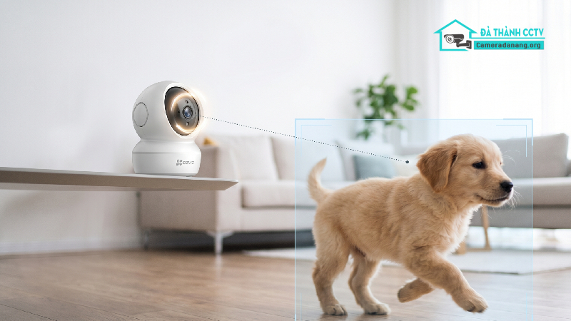 Camera Ezviz C6N Quan Sát Toàn Diện Với Góc Nhìn Không Điểm Mù-2